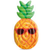 Cool Pineapple Mat