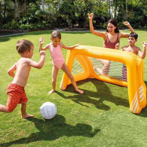 Fun Goals Game
