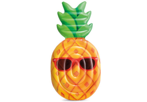 Cool Pineapple Mat