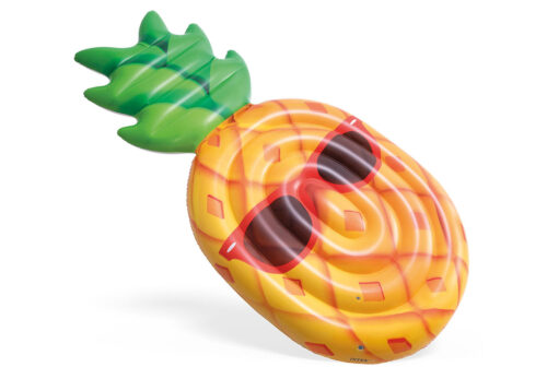 Cool Pineapple Mat
