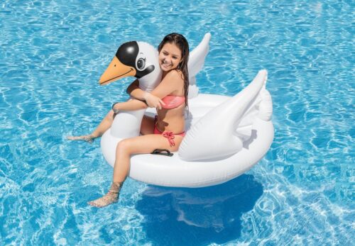 Majestic Swan Ride-On
