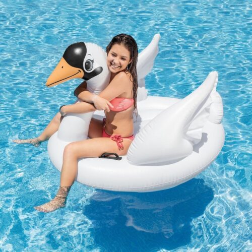 Majestic Swan Ride-On