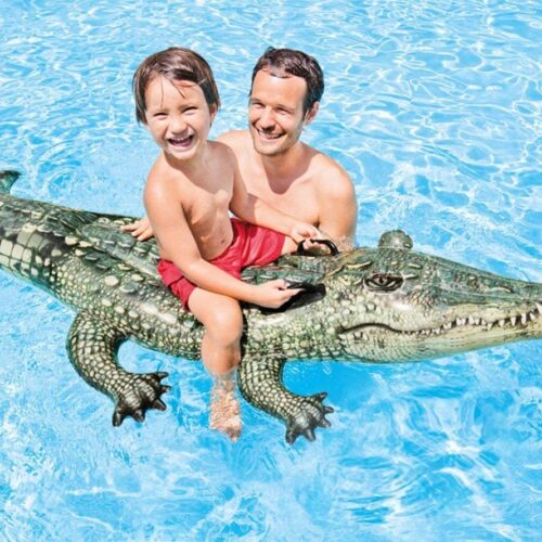 Realistic Gator Ride-one