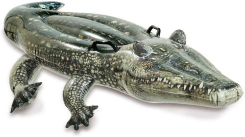 Realistic Gator Ride-one - Image 2