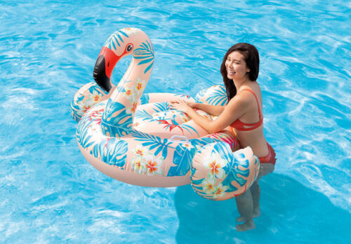 Tropical Flamingo Ride-On