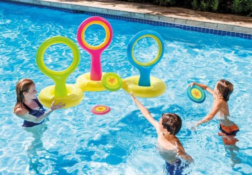 Flying Disc Toss Game