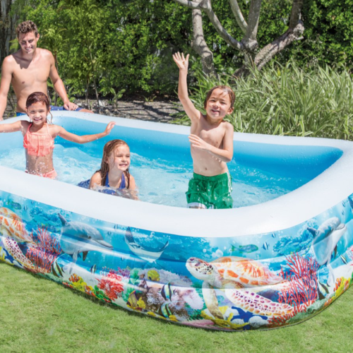 Sea Life Swim Center Pool - 3.05m x 1.83m x 56cm