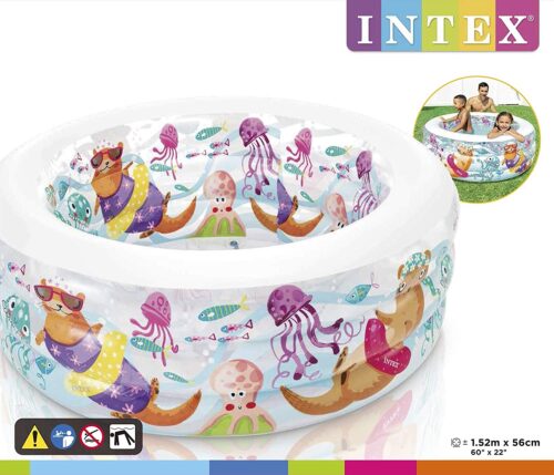 Little Otter Pool - Image 4