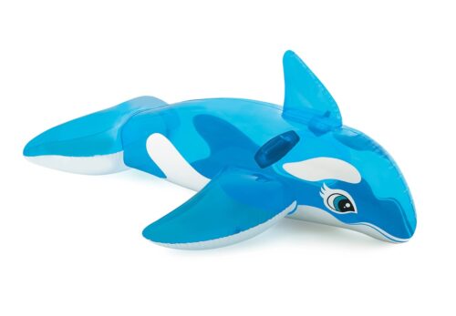 Lil' Whale Ride-On - Image 2