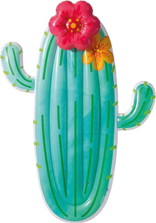 Intex Cactus Float - Image 2